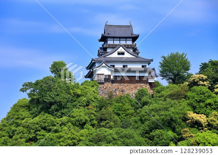 [Aichi] Fresh green Inuyama Castle castle tower 128239053