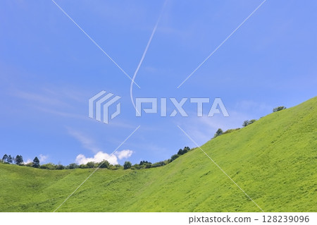 Sengi Plateau of fresh green Sengi Plateau of fresh green 128239096