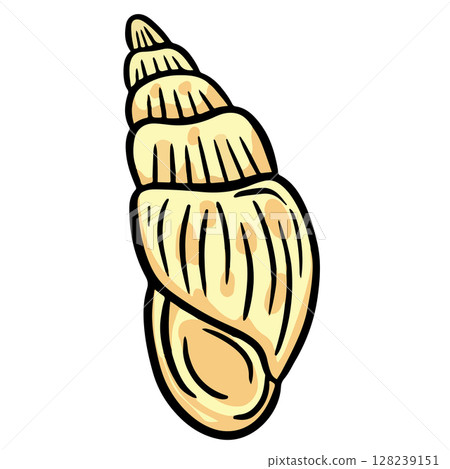 Hand drawn clipart illustration of seashell shell mollusc seaside shellfish  128239151