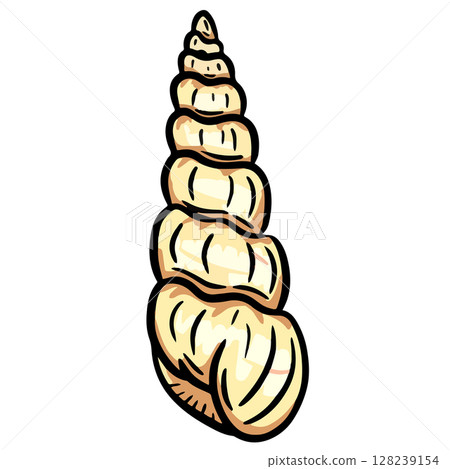 Hand drawn clipart illustration of seashell shell mollusc seaside shellfish  128239154