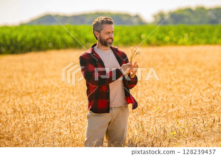 Farmer in field. Hispanic man farmer check agriculture field harvest. Man agronomist farmer. Seasonal crop rotation. Crop protection. Agriculture farm. Farm man at field. Crop harvest and farming Farmer in field. Hispanic man farmer check agriculture field harvest. Man agronomist farmer. Seasonal crop rotation. Crop protection. Agriculture farm. Farm man at field. Crop harvest and farming 128239437