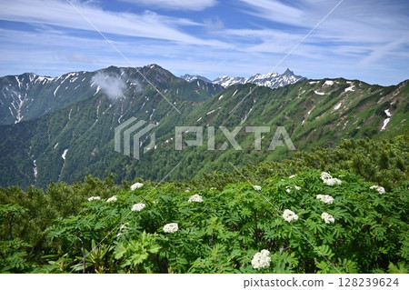 View of the North Alps View of the North Alps 128239624