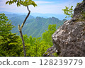從新綠山上看到的山脈 128239779