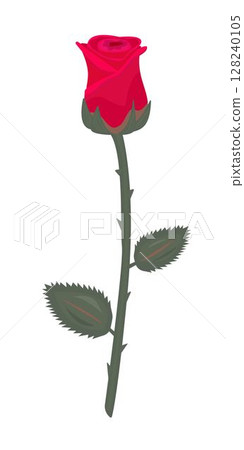 Single red rose with stem and leaves, bright illustration  128240105