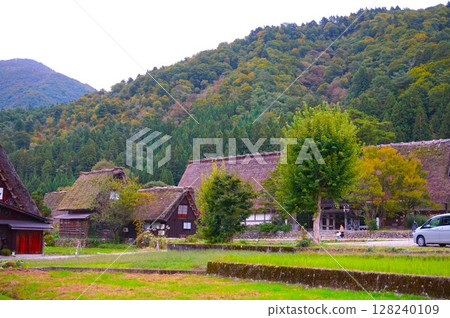 Ogimachi Gassho-style Village, World Heritage Site, Shirakawa-go, Thatched Roof Ogimachi Gassho-style Village, World Heritage Site, Shirakawa-go, Thatched Roof 128240109