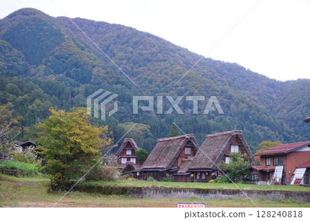 Ogimachi Gassho-style Village, World Heritage Site, Shirakawa-go, Thatched Roof Ogimachi Gassho-style Village, World Heritage Site, Shirakawa-go, Thatched Roof 128240818