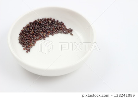 A small seed, the simple brilliance of life. A small seed, the simple brilliance of life. 128241099