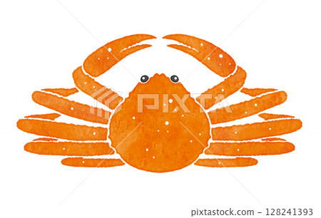 Illustration of a delicious looking crab Crab Snow crab Illustration of a delicious looking crab Crab Snow crab 128241393