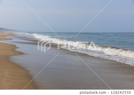 大竹海岸（茨城縣鉾田市） 128242550