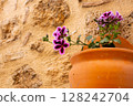 Geranium in a ceramic pot on the wall 128242704