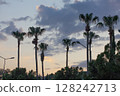 coconut palm trees against the dark sky 128242713