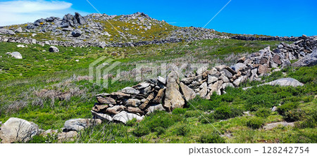 A dirt path winding through lush green fields bordered by an old stone fence against a wide blue sky. Concept of outdoor adventure, hiking, rural travel, nature conservation and eco-tourism. A dirt path winding through lush green fields bordered by an old stone fence against a wide blue sky. Concept of outdoor adventure, hiking, rural travel, nature conservation and eco-tourism. 128242754