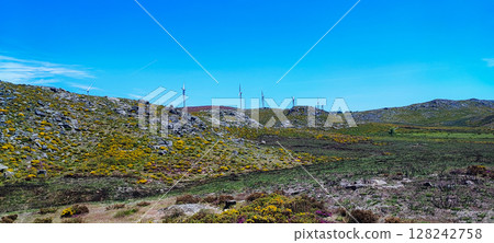 A dirt path winding through lush green fields bordered by an old stone fence against a wide blue sky. Concept of outdoor adventure, hiking, rural travel, nature conservation and eco-tourism. 128242758