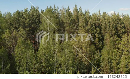 Aerial view of spring green forest early in the morning. Flying over green trees forest at sunrise. Morning sun and fog. Summer forest of mixed trees. 128242823