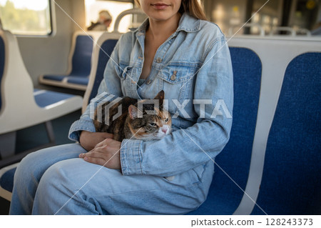 Domestic cat travelling on a train, sleeping, napping, sits on female owners lap.  128243373