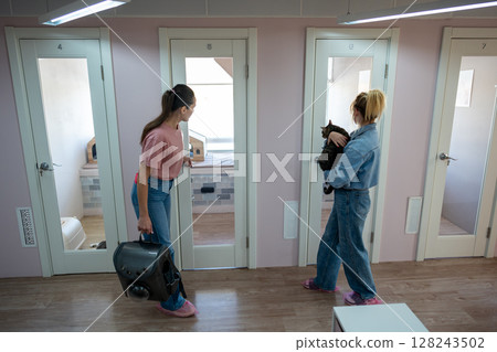 Cat owner arrive to checkin pet at animal hotel. Pet facility, hotel introduction, staff interaction Cat owner arrive to checkin pet at animal hotel. Pet facility, hotel introduction, staff interaction 128243502