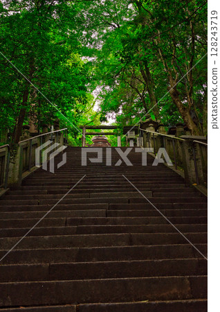 金毘羅神社的四級坡道 金毘羅神社的四級坡道 128243719