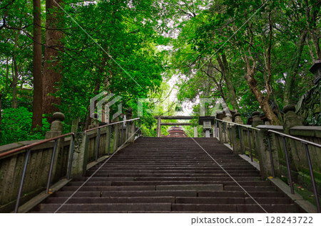 Konpira Shrine's Four-Step Slope Konpira Shrine's Four-Step Slope 128243722