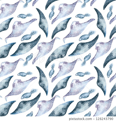 Underwater creatures in soft blue gray tones watercolor seamless pattern isolated on white. Stingrays monochrome hand drawn on repeated texture for swimwear, ocean themed packaging, marine textile. Underwater creatures in soft blue gray tones watercolor seamless pattern isolated on white. Stingrays monochrome hand drawn on repeated texture for swimwear, ocean themed packaging, marine textile. 128243790