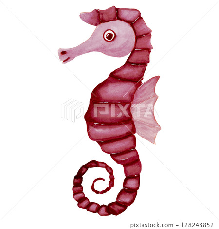 Watercolor sketch of shadow of pink fantasy seahorse  Watercolor sketch of shadow of pink fantasy seahorse  128243852