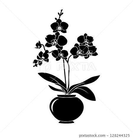 Orchid Phalaenopsis flowers in a pot, silhouette style, on white background. Concept of elegance and simplicity 128244325