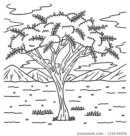 Desert Acacia Tree Coloring Page for Kids  128244856