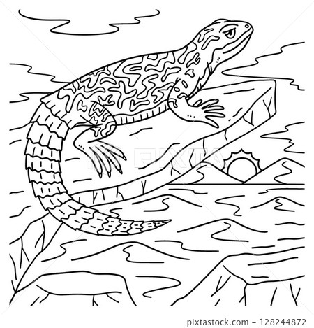 Desert Spiny-Tailed Lizard Coloring Page for Kids  128244872