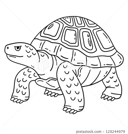 Tortoise Animal Isolated Coloring Page for Kids Tortoise Animal Isolated Coloring Page for Kids 128244979