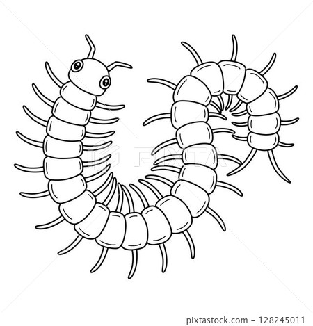 Insect Centipede Animal Isolated Coloring Page  128245011