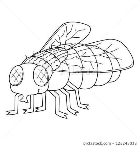 Insect Housefly Animal Isolated Coloring Page  128245038
