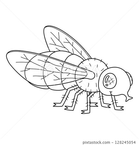 Insect Fruit Fly Animal Isolated Coloring Page  128245054