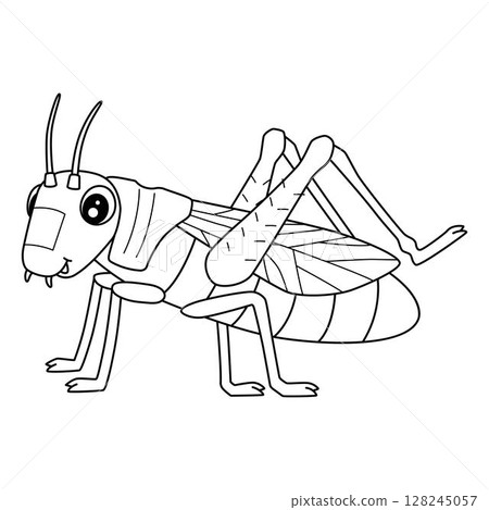 Insect Grasshopper Animal Isolated Coloring Page  128245057