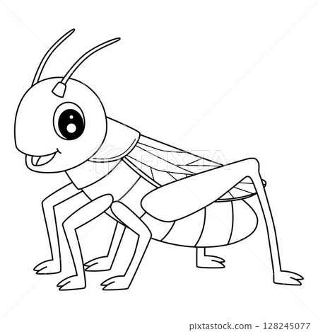 Insect Cricket Animal Isolated Coloring Page  128245077