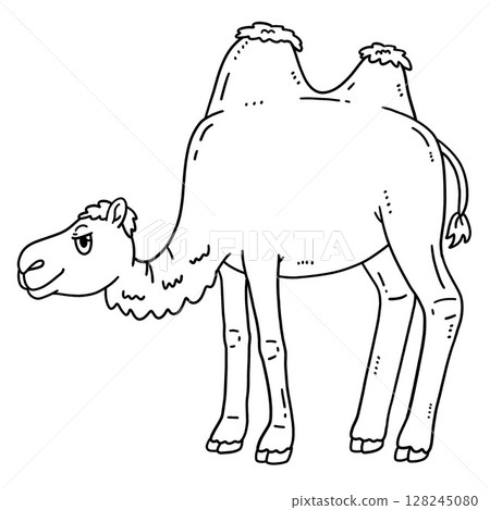 Bactrian Camel Isolated Coloring Page for Kids Bactrian Camel Isolated Coloring Page for Kids 128245080