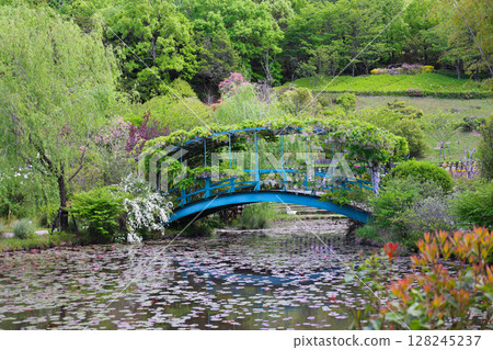 紅山石楠森林、百合池和橄欖橋 128245237