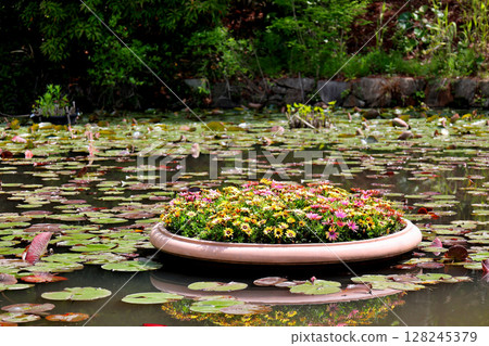 Redhill Heather Forest, Lily Pond and Olive Bridge Redhill Heather Forest, Lily Pond and Olive Bridge 128245379