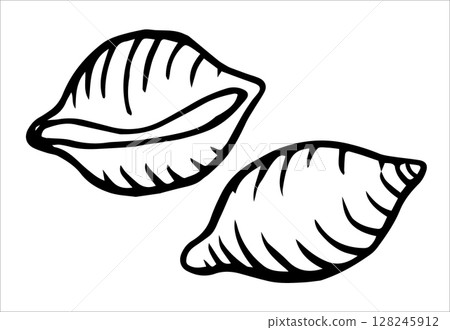 conchiglie pasta. vector illustration in doodle style 128245912