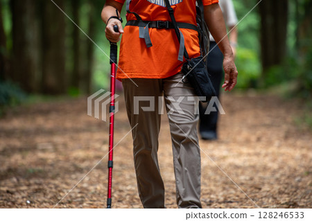 Hikers stroll along a tranquil fir forest trail 128246533
