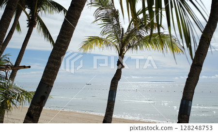Bright tropical beach with palm trees and white sand near clear morning ocean waters, reflecting tranquil island life in the Philippines 128248753