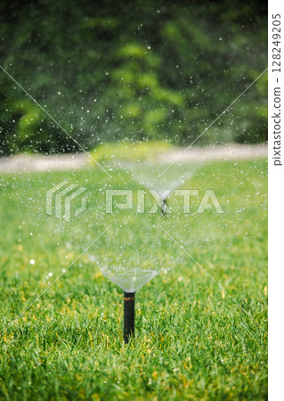 Close view of a working lawn sprinkler spraying water across green grass in a backyard, showing irrigation in action Close view of a working lawn sprinkler spraying water across green grass in a backyard, showing irrigation in action 128249205