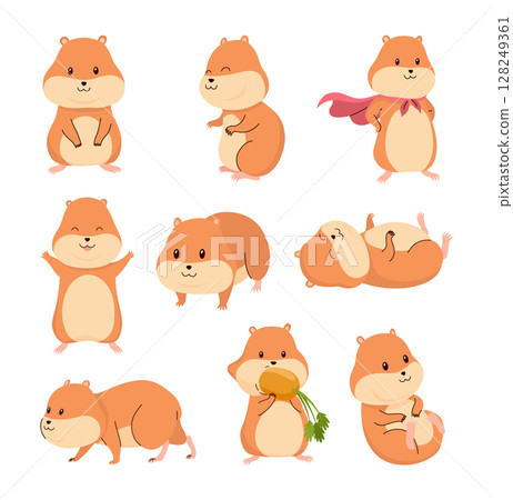 Cartoon hamsters set. Fluffy domestic pets playing and eating, sleeping and running. Funny rodent in different situations. Happy home rodent animal. Vector illustration isolated on white background 128249361