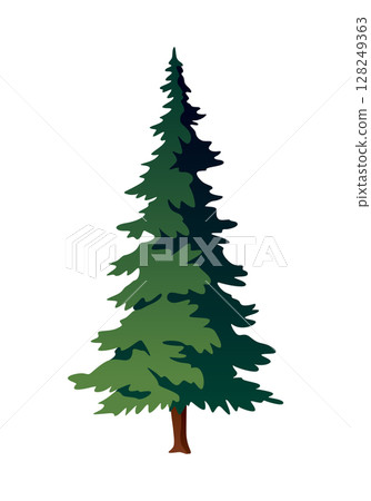 A cartoon illustration of a pine tree on a white background A cartoon illustration of a pine tree on a white background 128249363