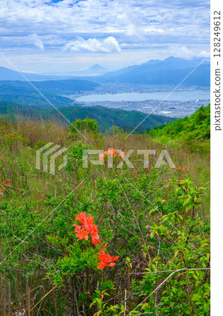 Mount Fuji, Lake Suwa and Renge Azalea [taken from Takabocchi Plateau] 128249612