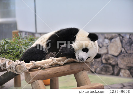 Nagahama taking a rest on the playground equipment 128249698