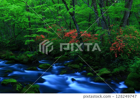 一條清澈的小溪流過綠地 一條清澈的小溪流過綠地 128249747