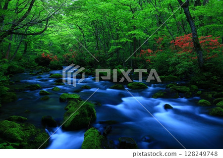 一條清澈的小溪流過綠地 128249748