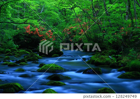 一條清澈的小溪流過綠地 一條清澈的小溪流過綠地 128249749