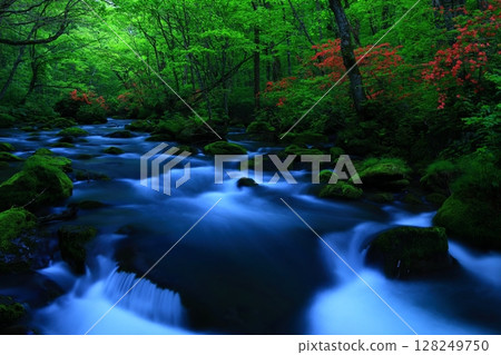 一條清澈的小溪流過綠地 128249750