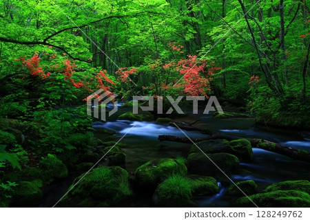A clear stream flowing through the greenery 128249762