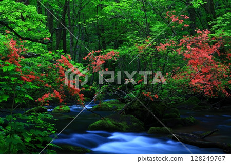 一條清澈的小溪流過綠地 128249767